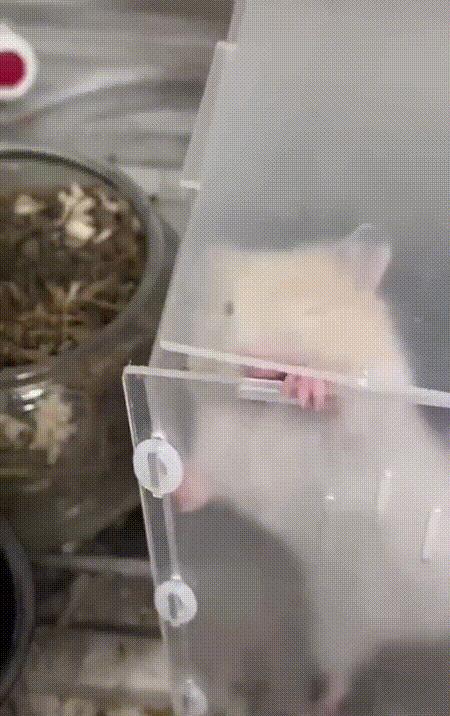 神回复：足球反着买，别墅靠大海，冷门下重注，超越*迁拆**户