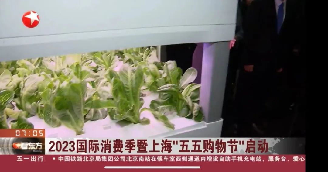 中国消费中心城市布局,新一轮以旧换新撬动消费大市场