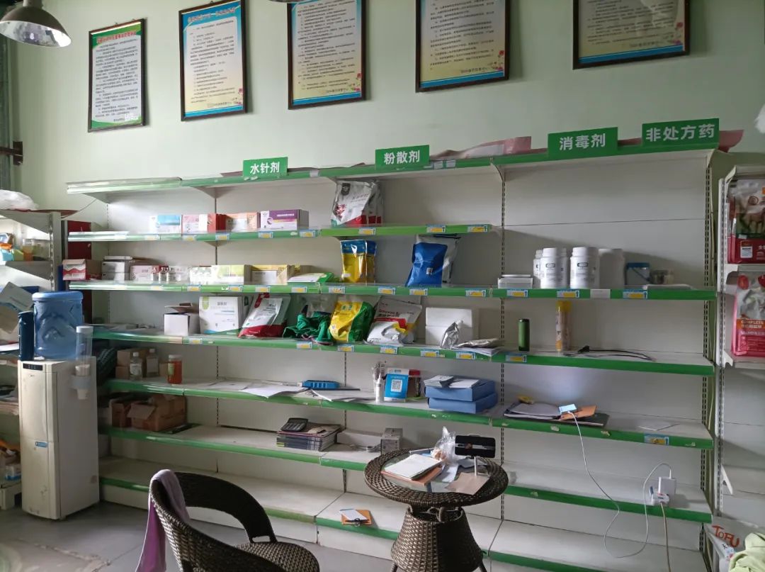 宠物市场的底层逻辑,关于宠物市场的市场分析