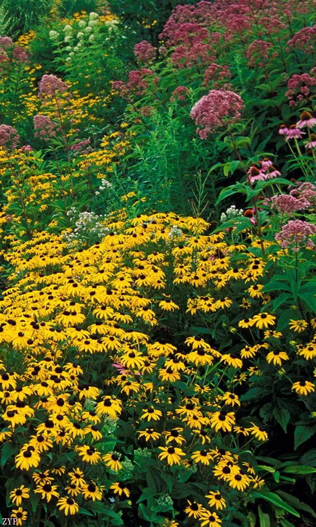 太美了100张人间美照,太美了最美中国红