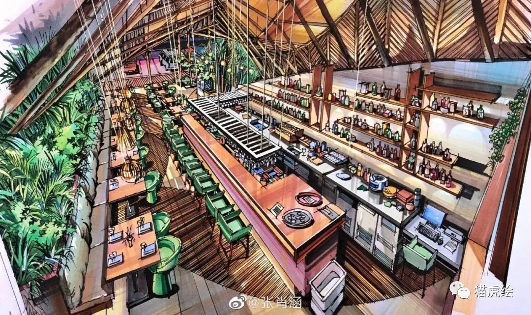 2022猫虎绘暑假手绘班招生简章「线上+线下」