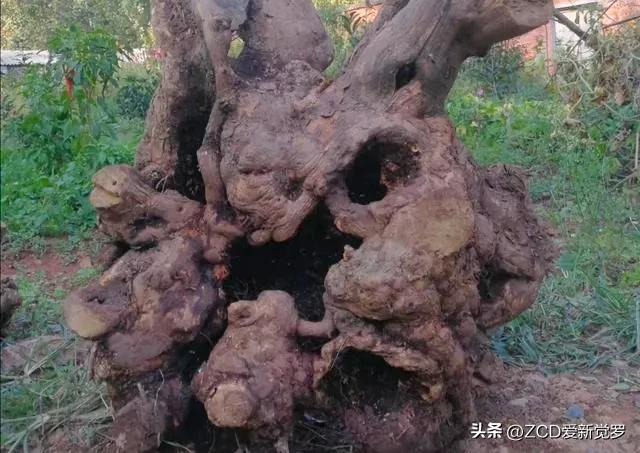 满族烧炕,满族传统民居炕