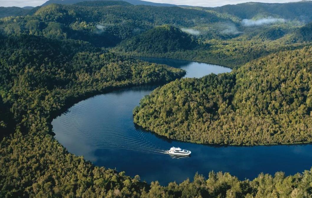 澳大利亚野马泛滥成灾,澳大利亚野马现状