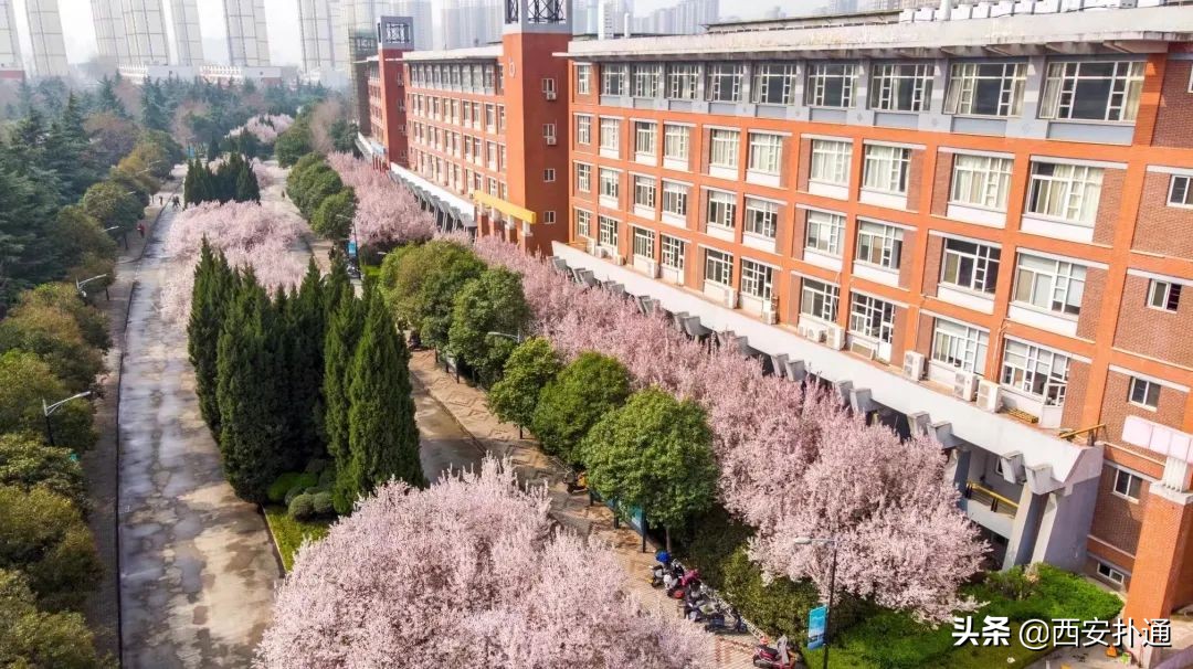 曾经的西安欧亚学院,西安人眼中的西安欧亚学院