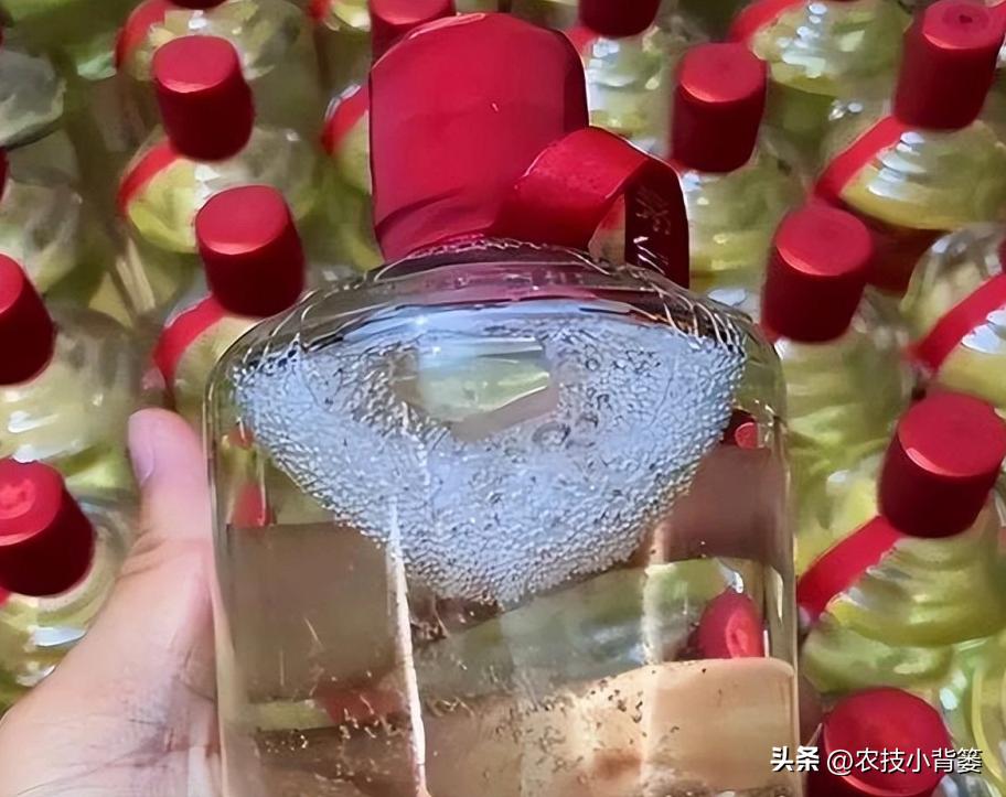 白酒骗局揭秘,高档白酒骗局揭秘大全