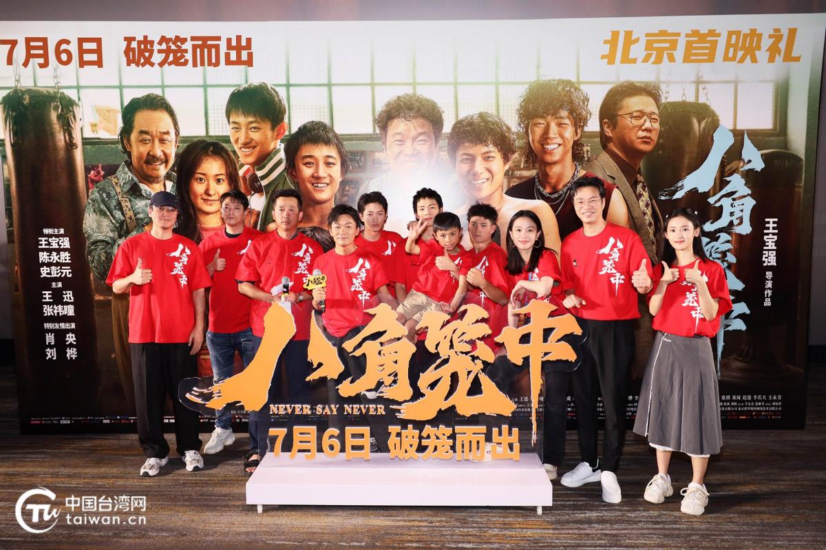 对王宝强八角笼电影的评价,王宝强新片八角笼中官方评价