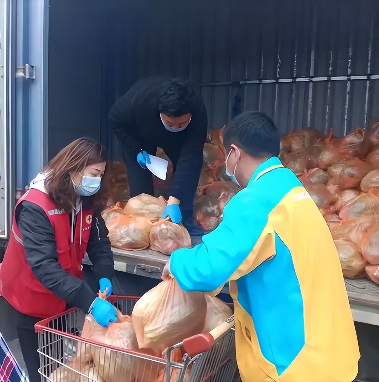 我们都是“守沪人”！中远海运物流、邮政、日日顺、顺丰、韵达、百世快运、苏宁物流、京东、德邦、菜鸟...