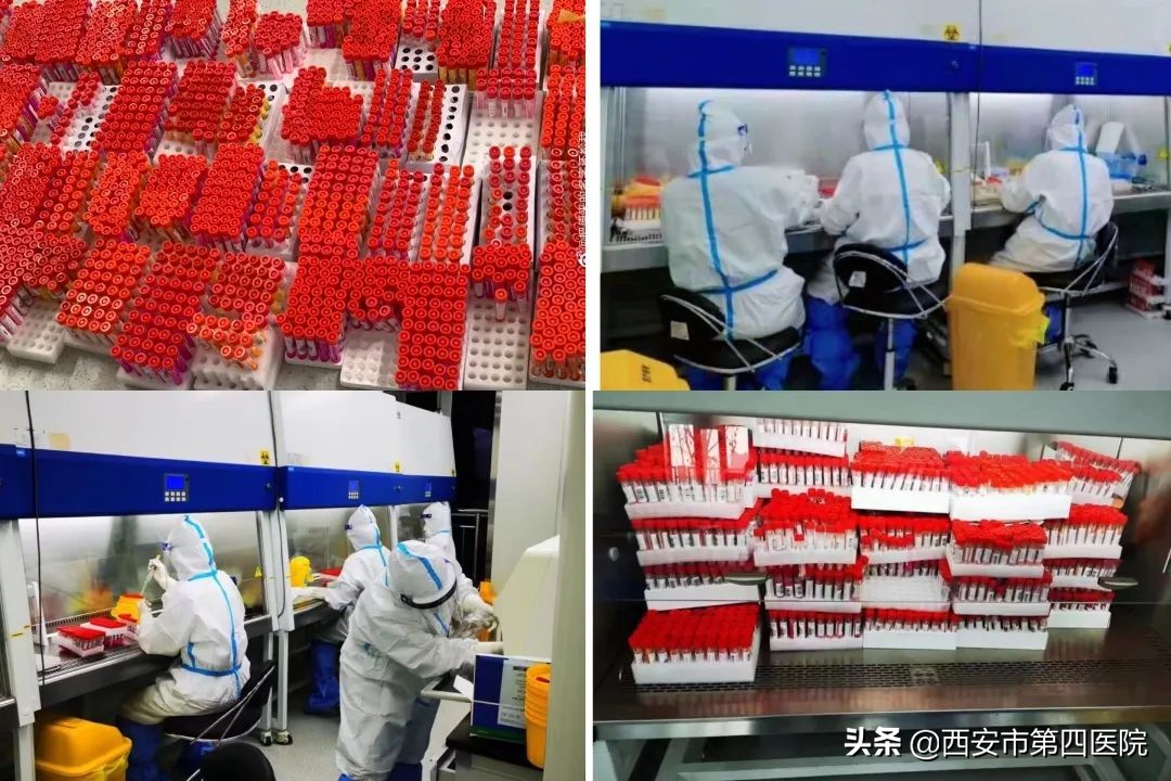 健康中国全民抗疫,秦岭四宝抗疫