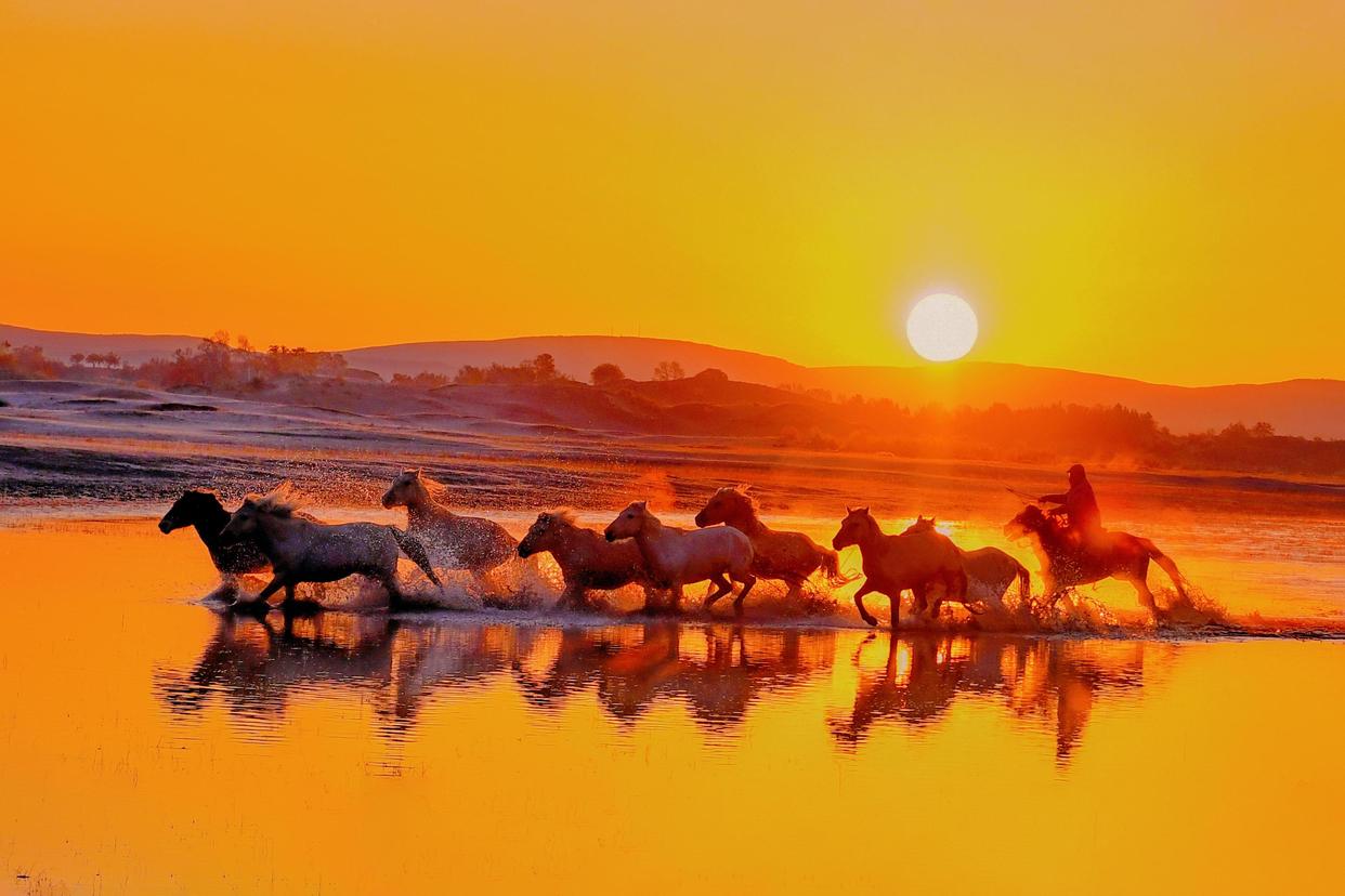 元朝在中原养马,元朝养马场