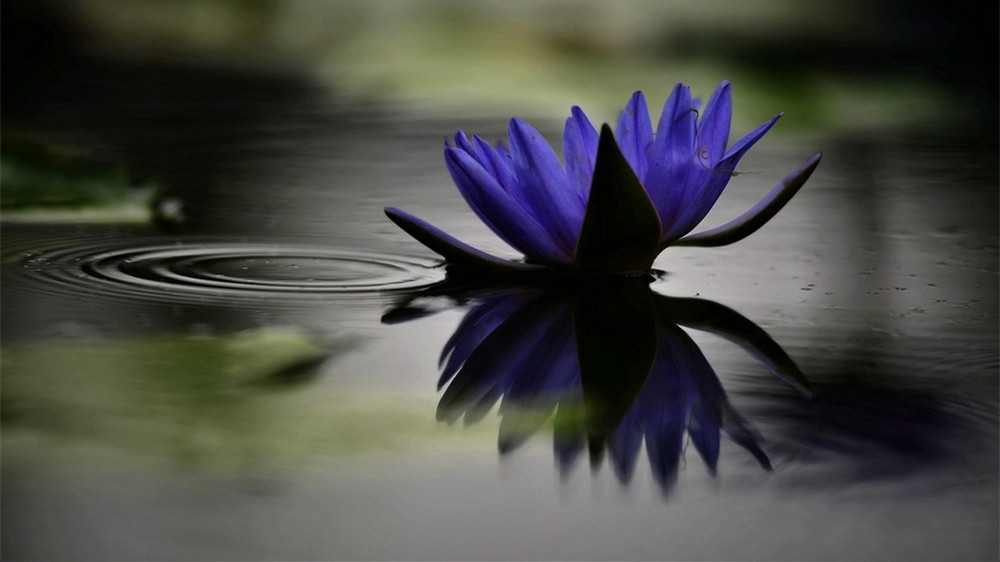 邪性造成的恶果怎么消除,邪与淫的危害你知道吗