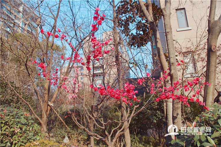 收官之作震撼来袭,收官之作加推