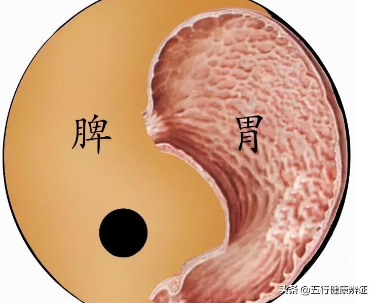 盗汗白汗用哪三味中药,除湿补气盗汗三味中药