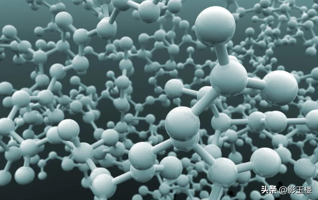 菠萝蜜种子效用,菠萝蜜种子煮熟的功效