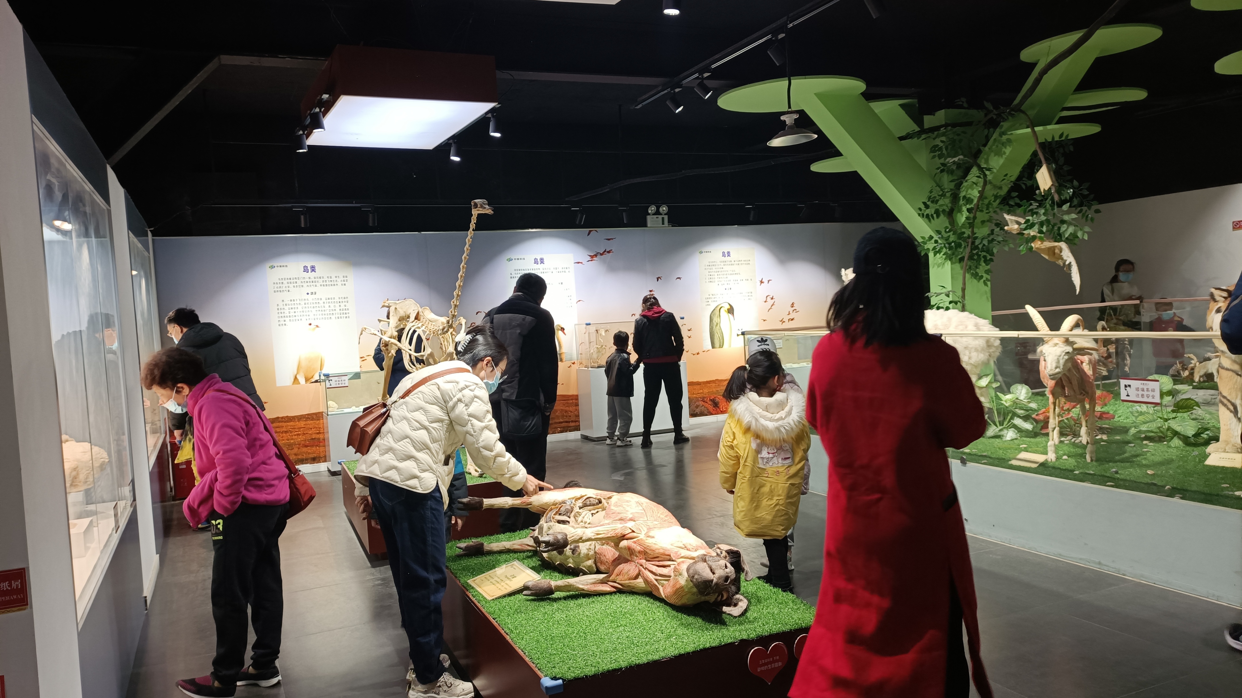 郑州春天去哪里旅游,郑州周边适合春天去的地方