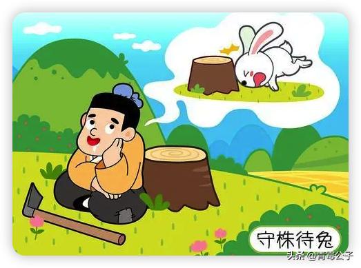 一只蓝色兔子是什么品种,一只蓝兔子