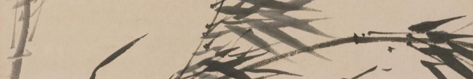 大熊猫爱吃的竹子是什么植物,大熊猫爱吃的竹子是毛竹吗