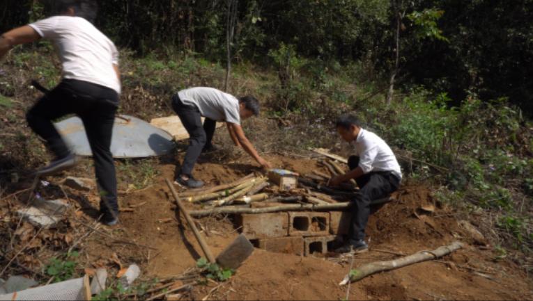 杀人蜂发家致富吗,养杀人蜂年入百万