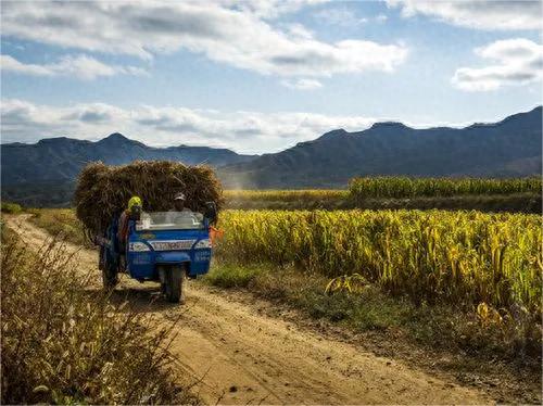 上海女子带孩子二婚，新郎苦涩表情引发猜想！她肚子里还有一个