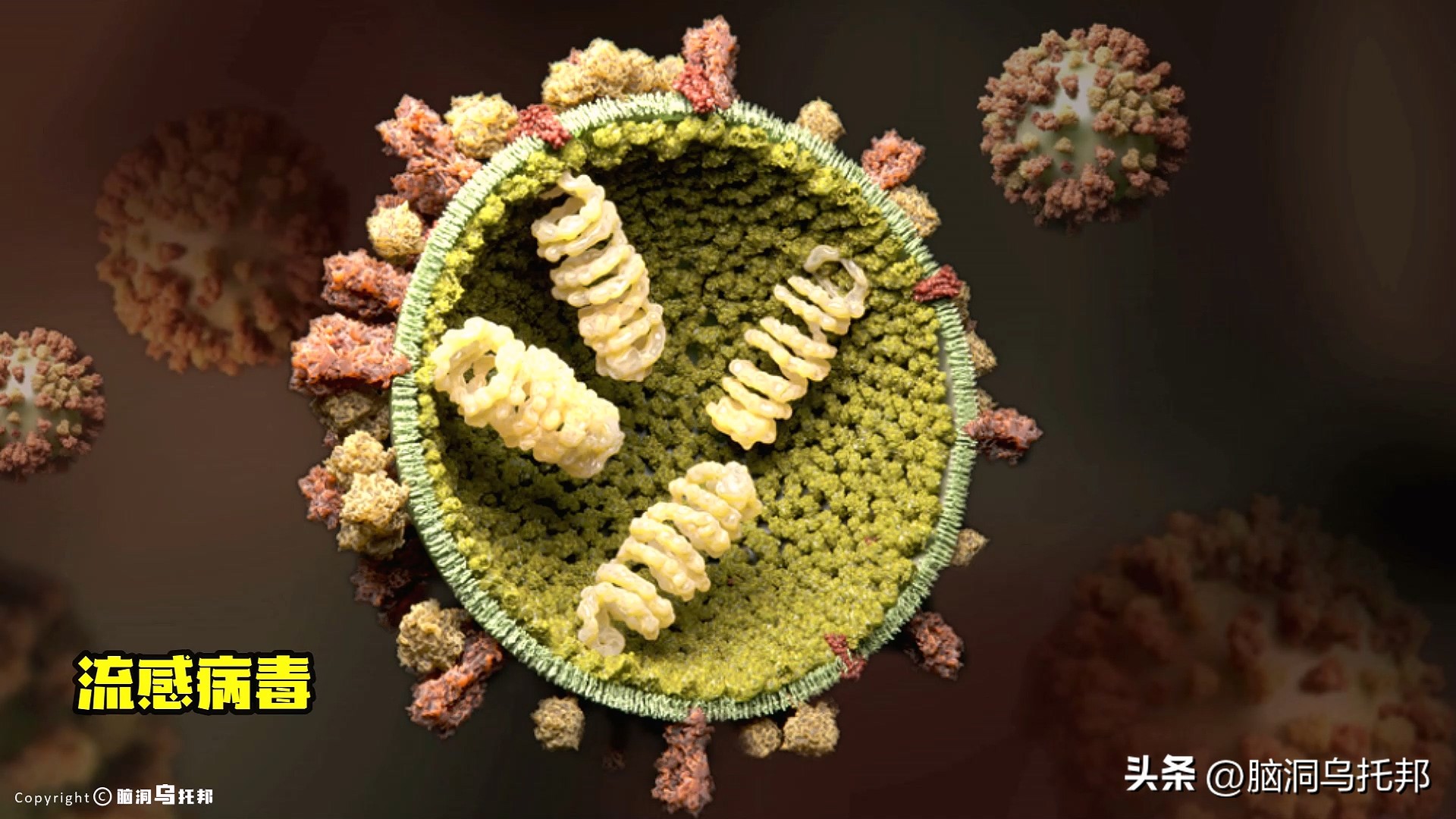 无症状感染是因为体质差吗,为什么有的人感染症状轻