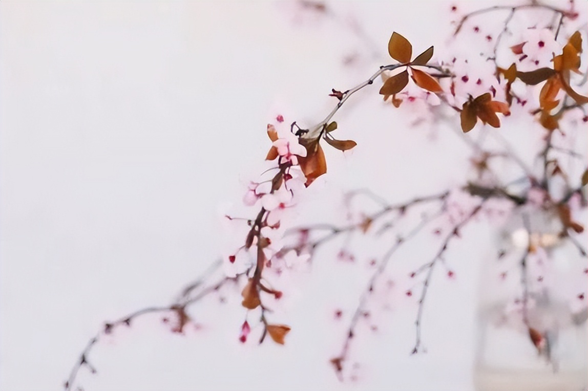 自己亲人是自私自利的人怎么办,家人自私自利