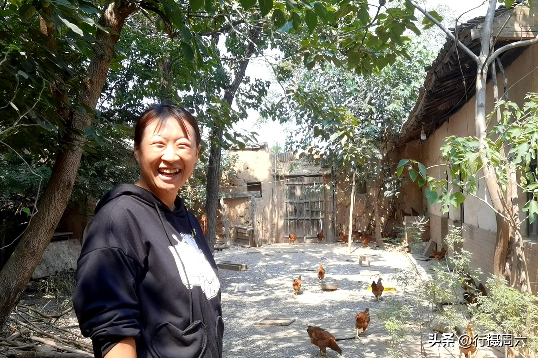 农村养跑山鸡前景,养殖1000只跑山鸡的成本和利润