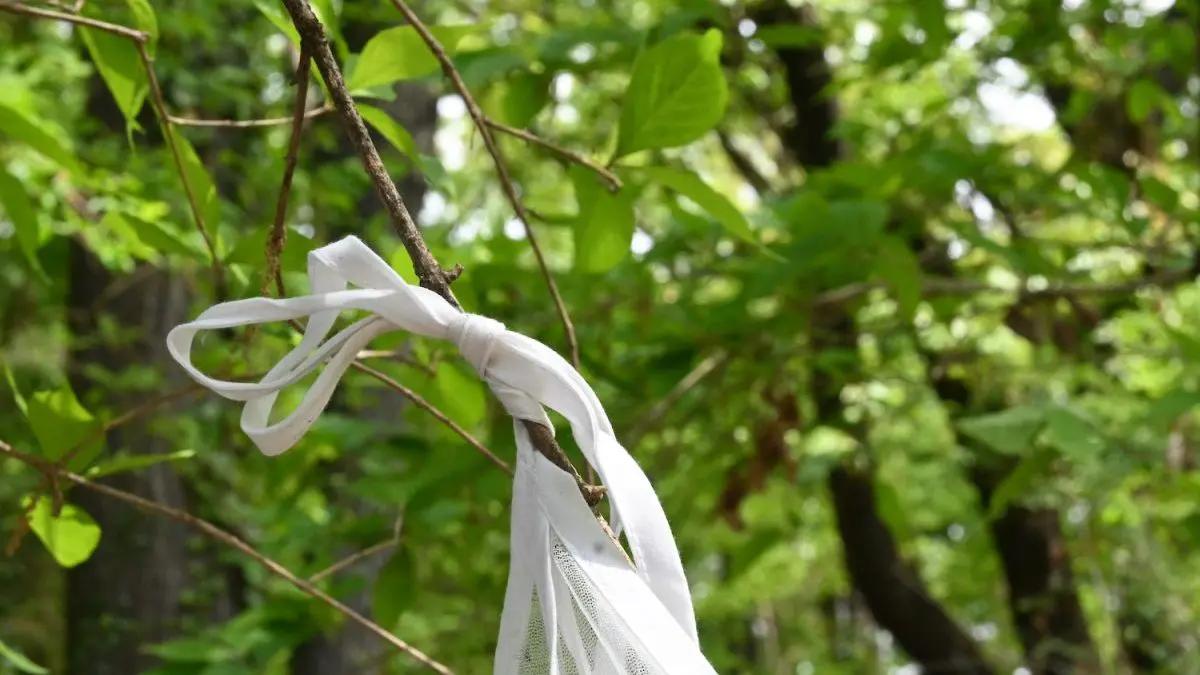 夏天用蚊帐的坏处,冬天可以用蚊帐吗