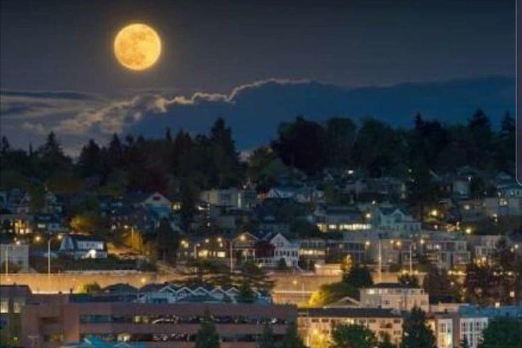 中秋共赏圆月的诗句,古今中外中秋咏月的古诗词有哪些