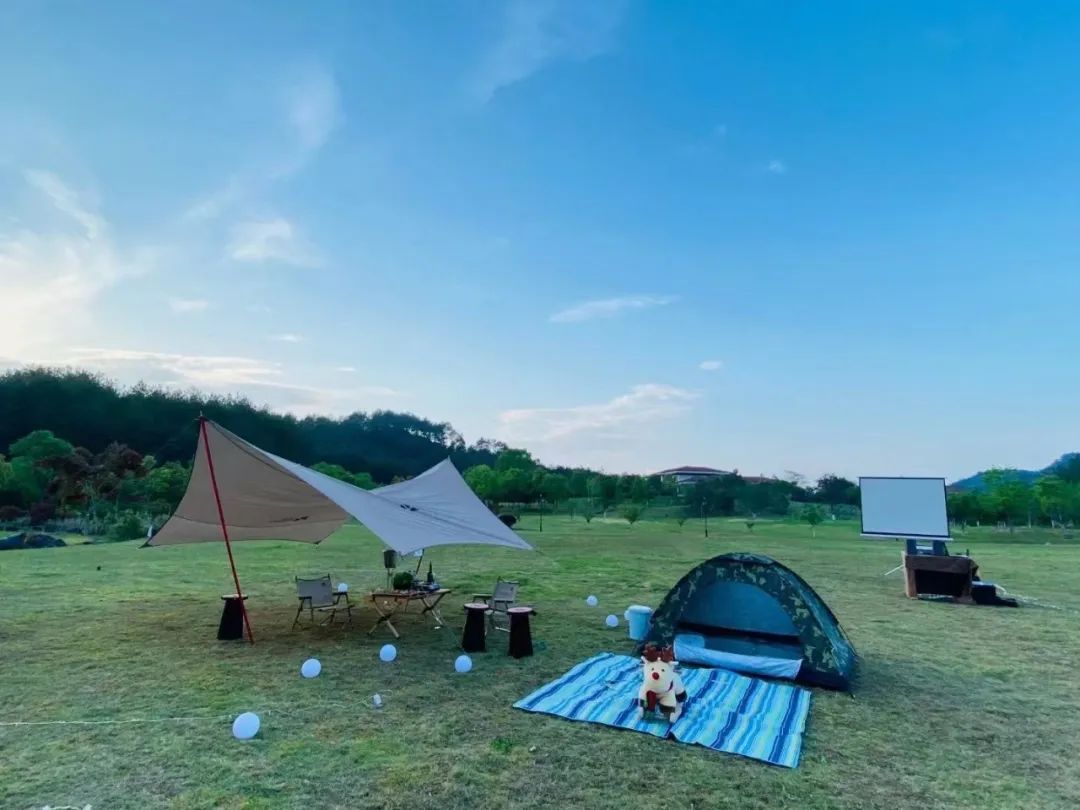 闽山闽水物华新,闽山闽水物华新在师生中引热议