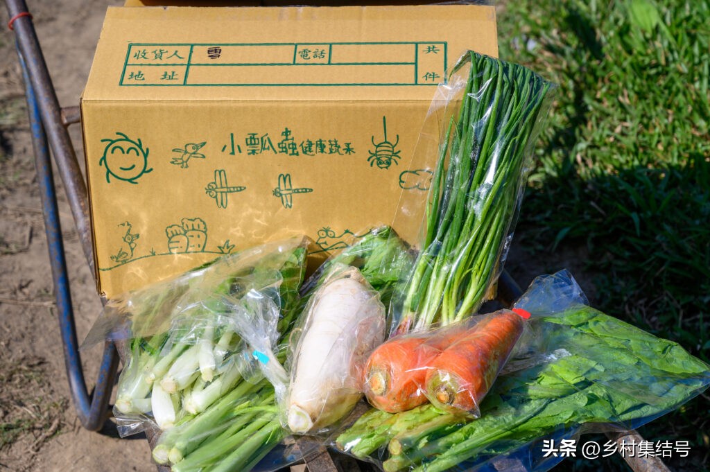 台湾小瓢虫农场,台湾小瓢虫