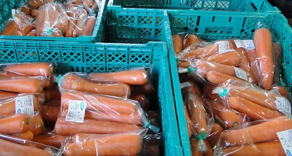 成都农产品批发市场转型,农产品批发市场升级改造的思路