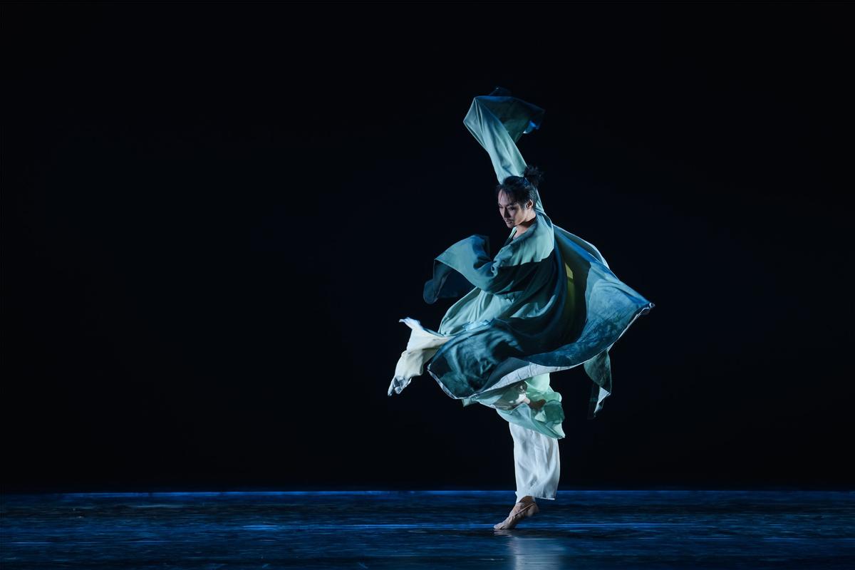 中国印度舞蹈对比,西方舞蹈的审美特征