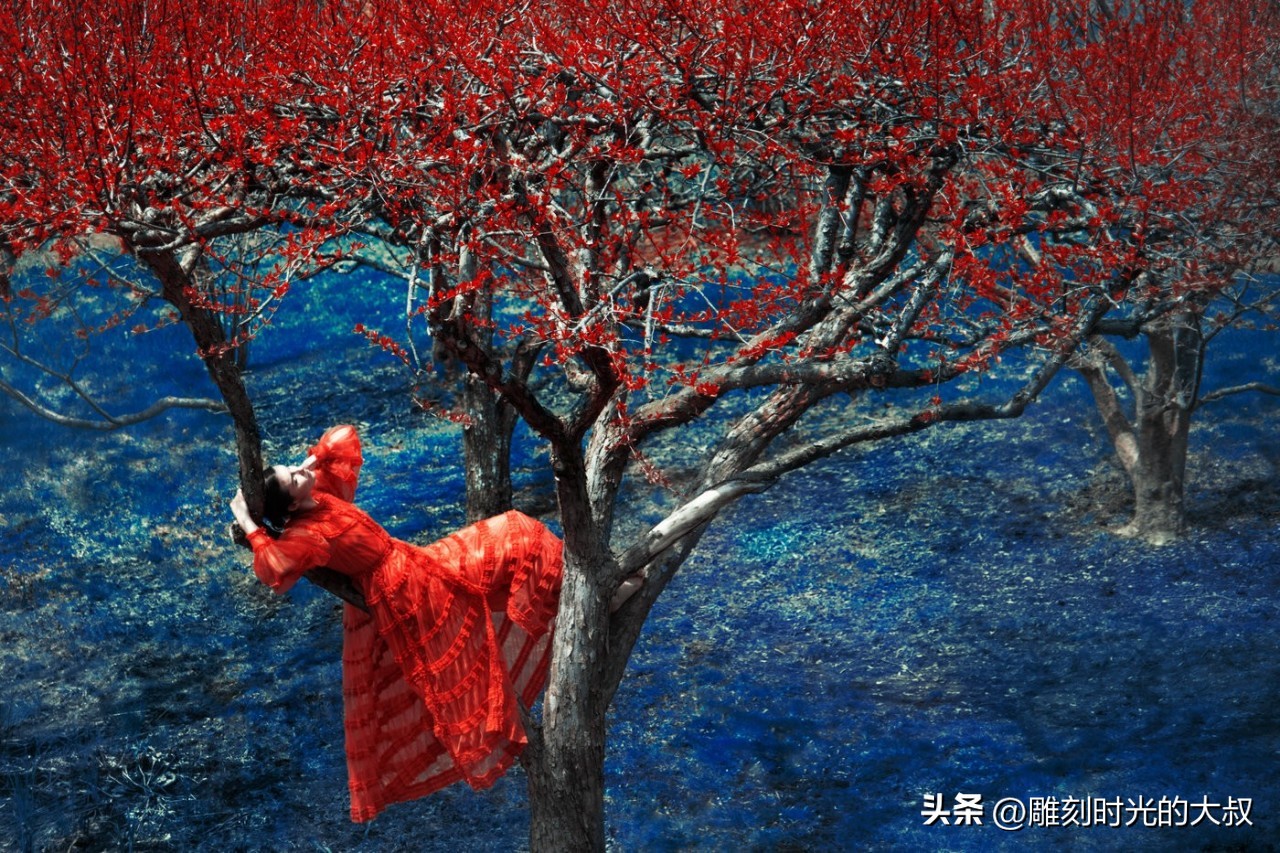 ai摄影师获奖,ai和摄影结合的摄影师