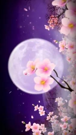 水边桃花月亮唯美图片,月亮竹影唯美图片