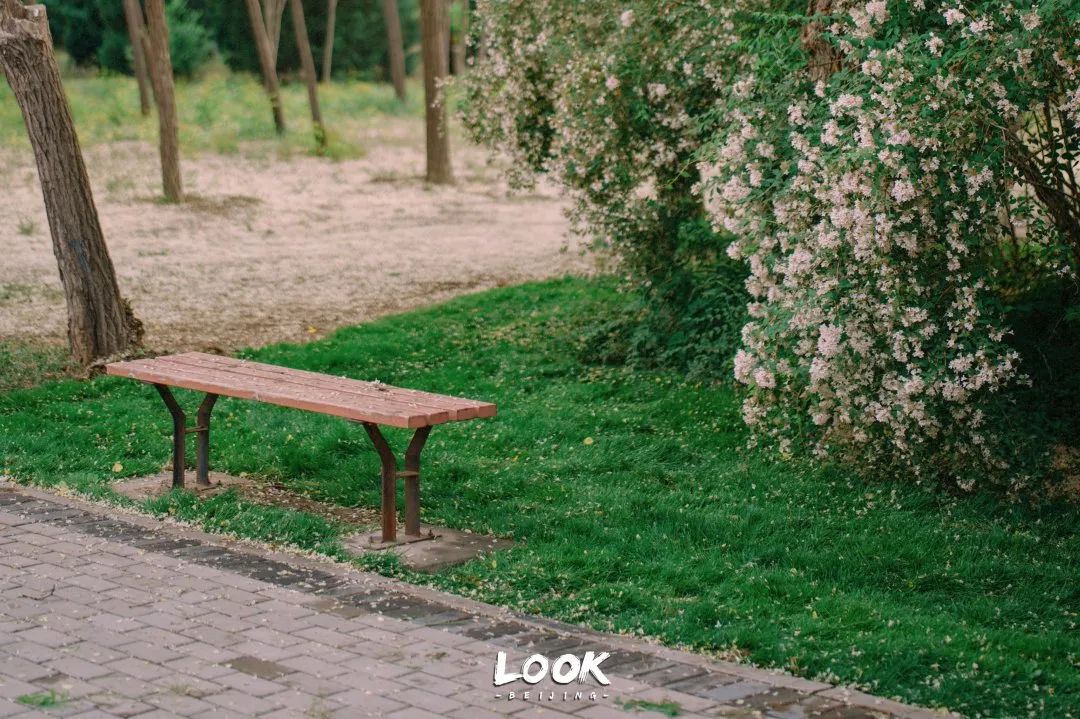 北京居庸关花海栈道,北京四季花海景区