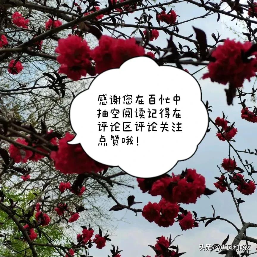 忆秦娥箫声咽李白全文注音版,忆秦娥李白诗讲解动画视频