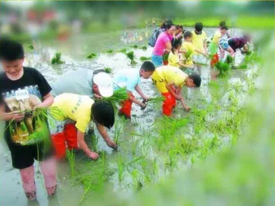 过年买给小朋友的零食礼物,致小朋友的一份礼物请查收