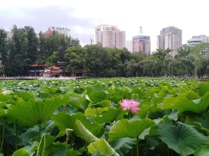 云南昆明有哪些景点值得去,云南昆明旅游必去十大景点