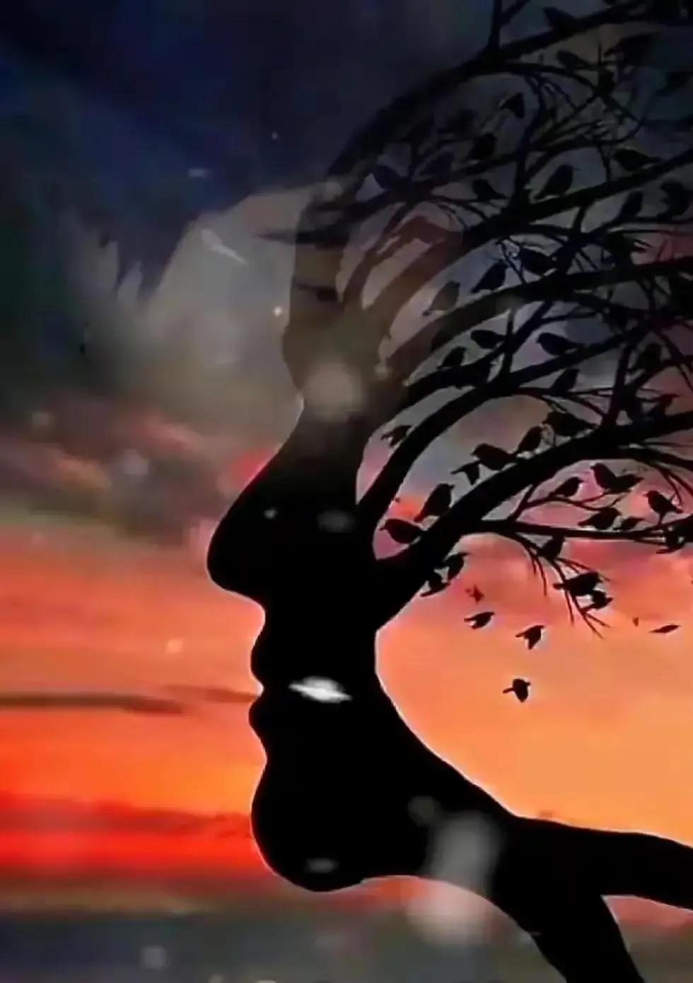 丧偶离婚后的感情分析,离婚再婚的恶果是什么