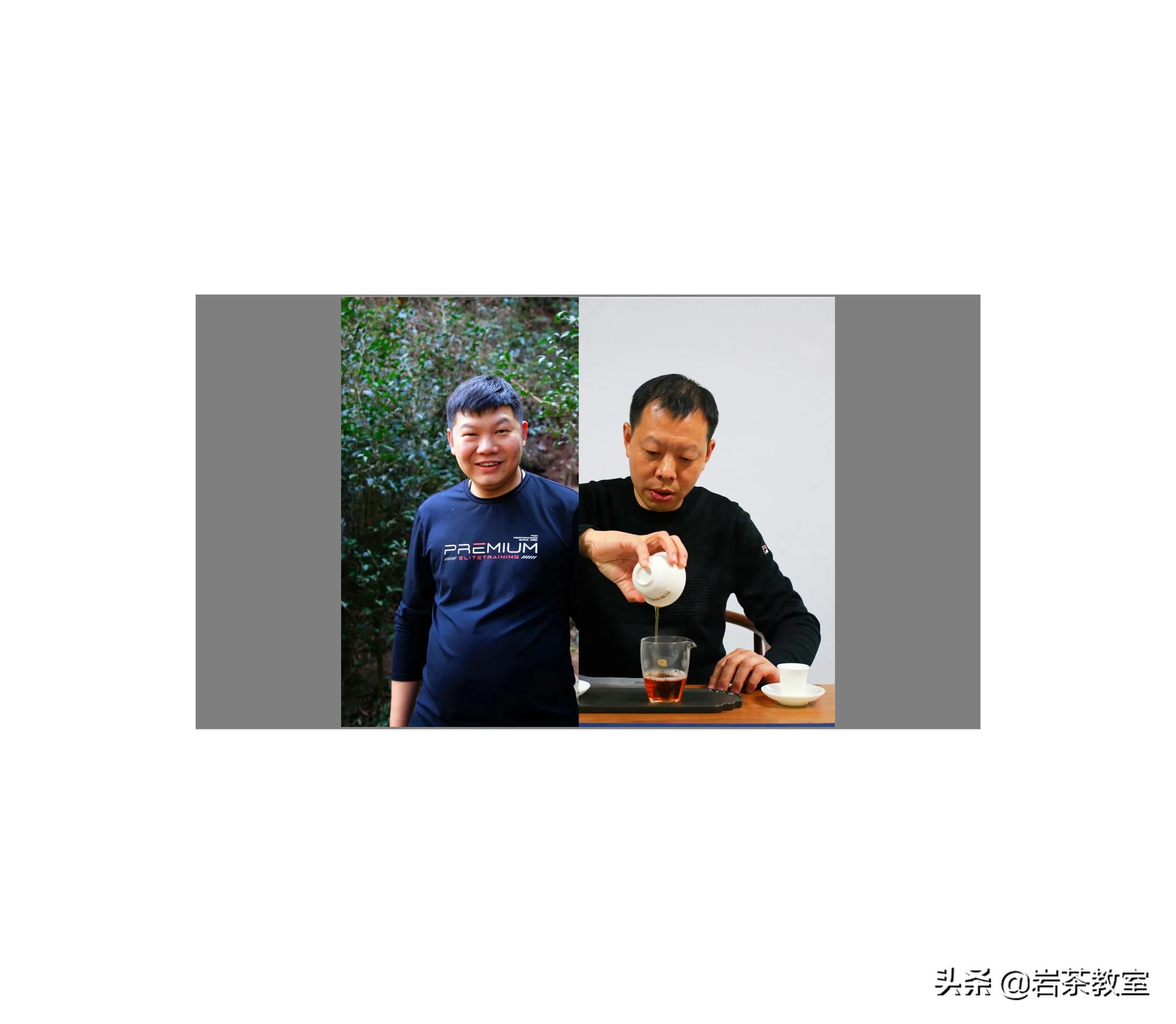 水金龟北斗武夷岩茶,水金龟武夷岩茶简介