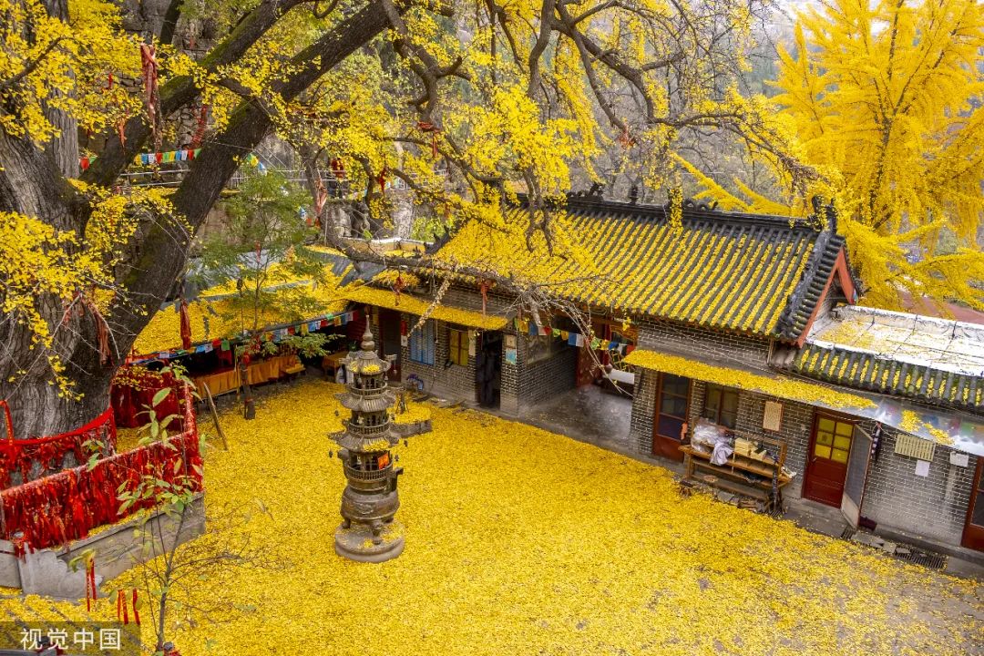 写秋雨的唯美句子短诗句,描写秋雨的优美诗句大全