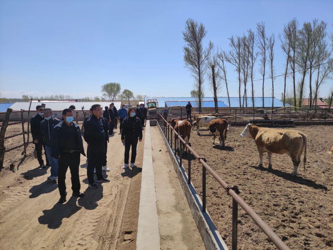 巴胡塔苏木简介,科左后旗巴胡塔