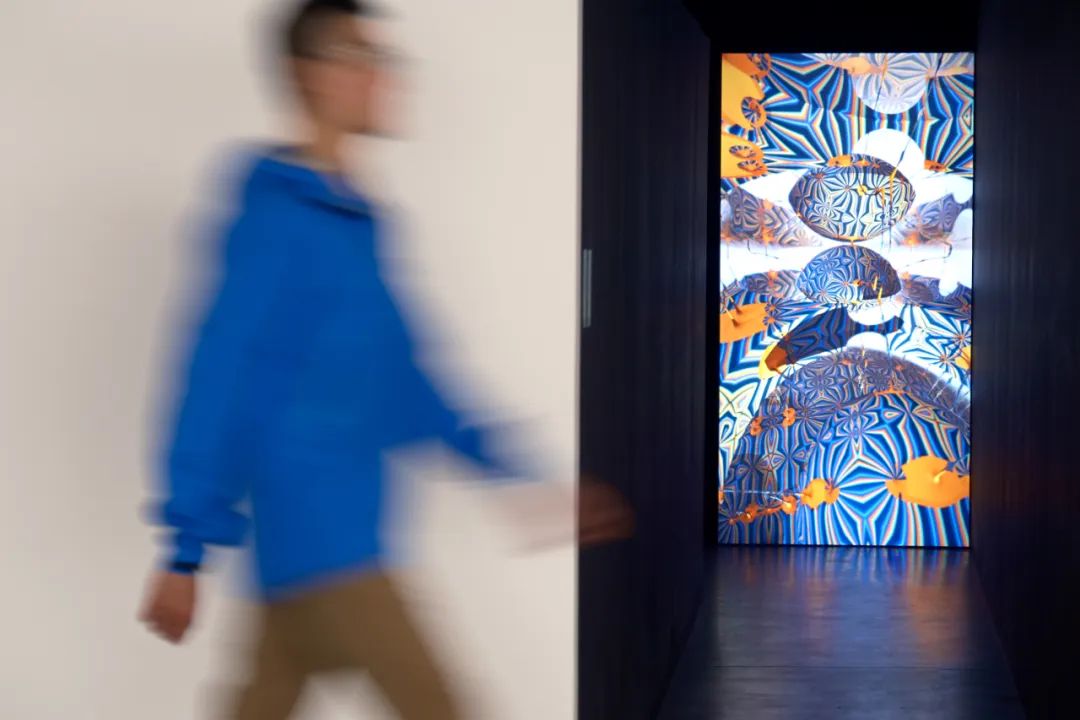 富士x-t5等四款相机迎来固件升级,富士x-t5对比富士gfx100s