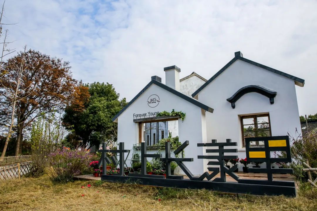 解析全国16个整村运营,解码全国16个整村运营经典案例