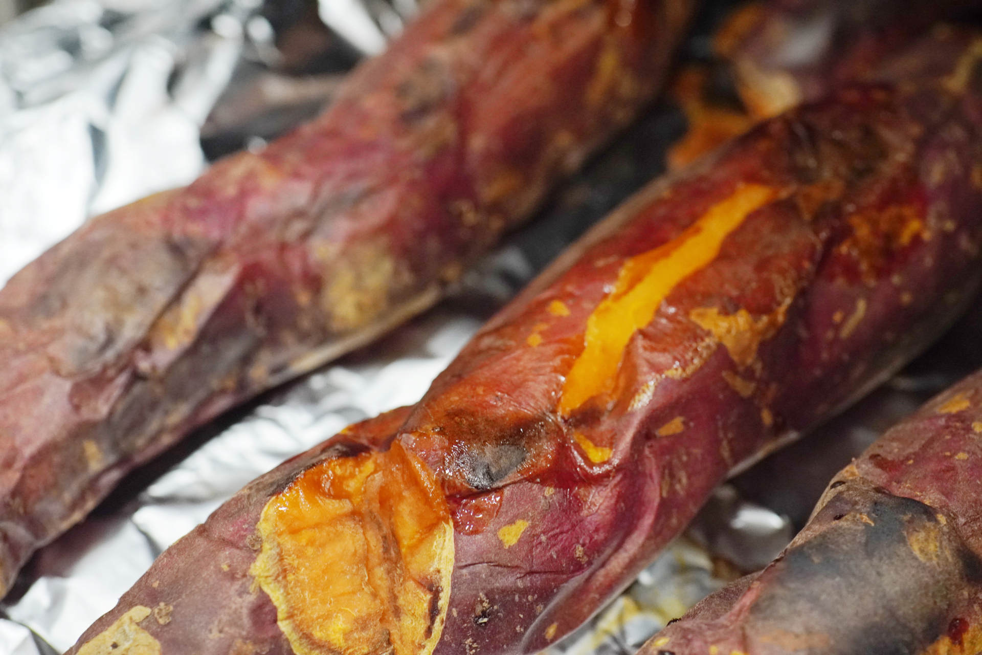 实测长帝F40大白鲸，这是一款更专业的家用台式烤箱