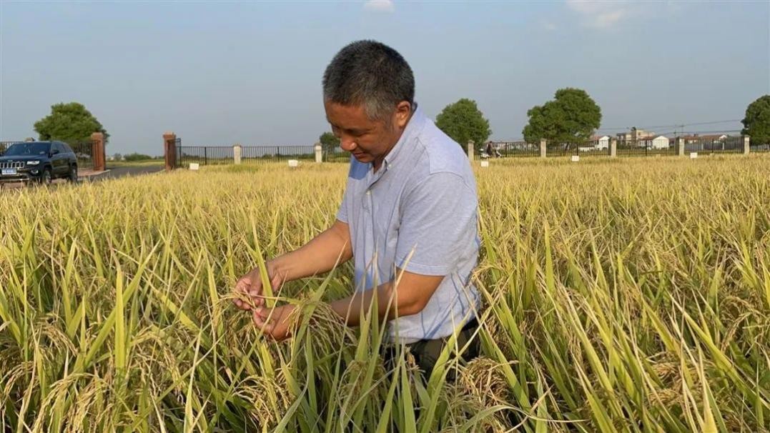 中国武汉大学最新排名,武汉大学全球排名榜