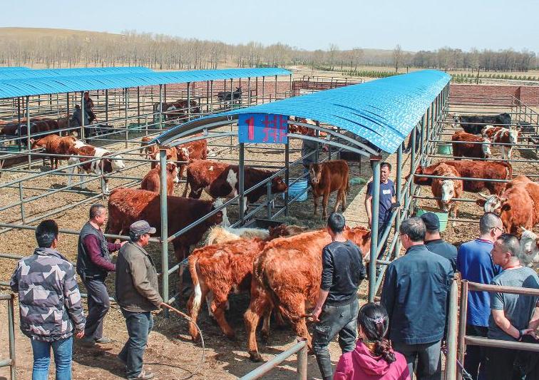 澶у叴瀹夊箔閲庝汉涔嬭皽鎻,澶у叴瀹夊箔娲绘崏閲庝汉涔嬭皽