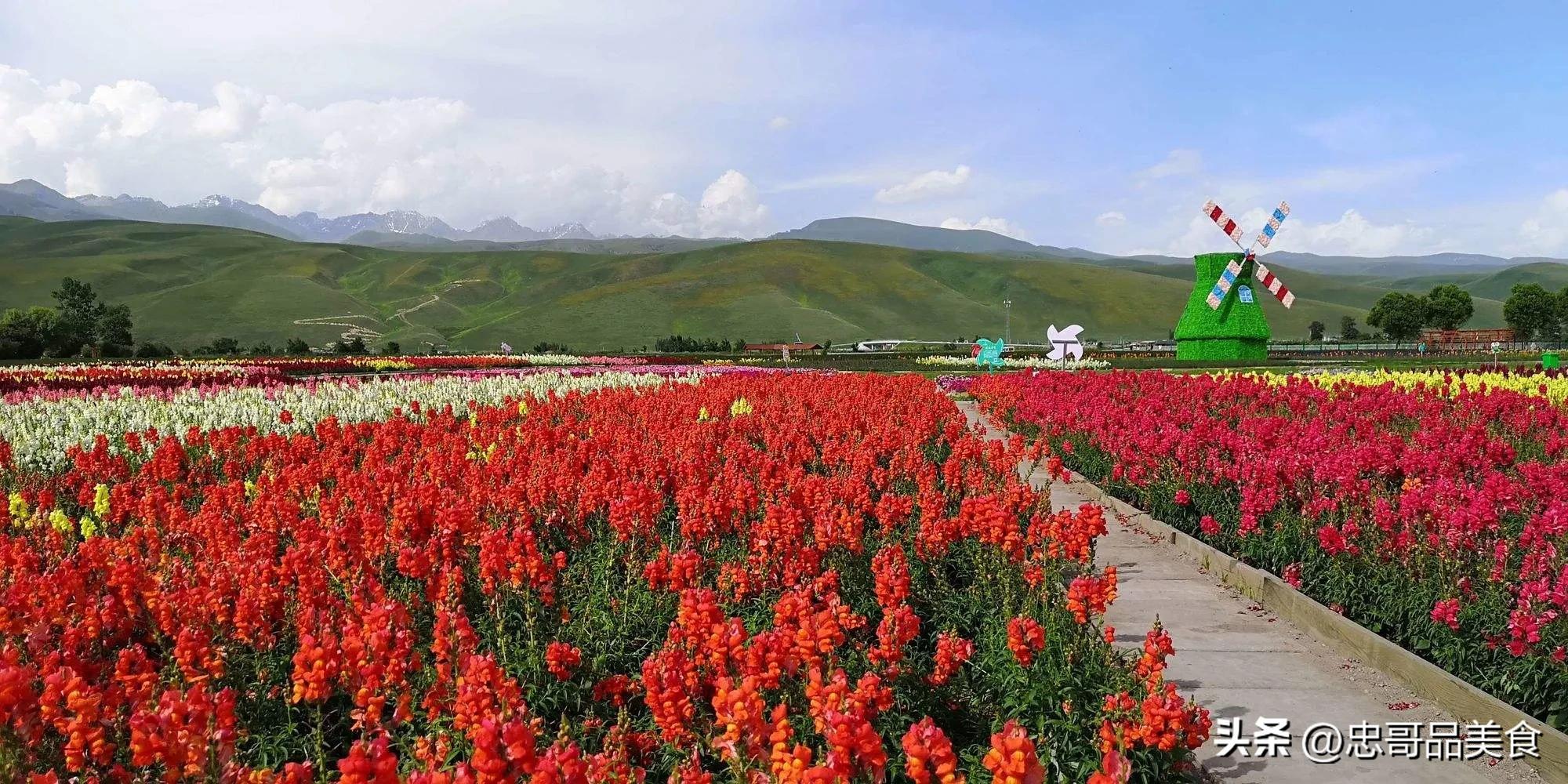日落晚霞映照九曲十八弯,日落黄昏的九曲十八弯