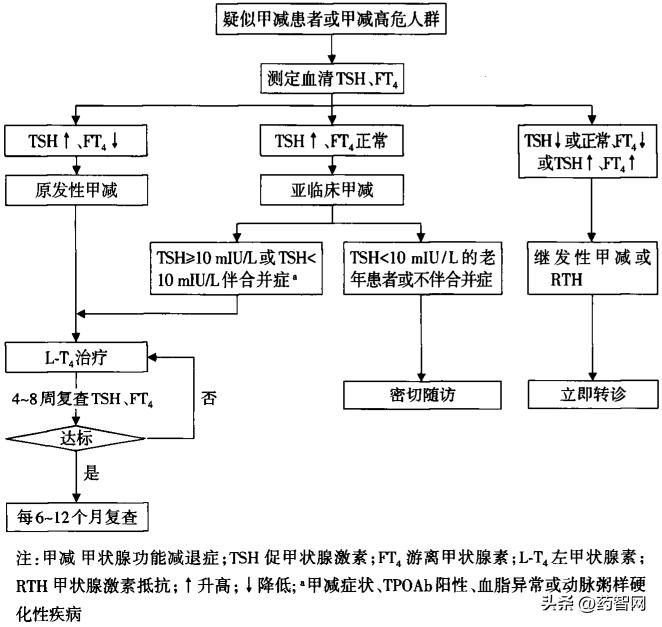甲减药物一个月多少钱,治疗甲减一盒一百片