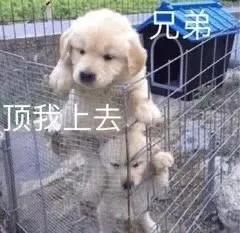 偶尔幽默的文案,认识一下幽默文案