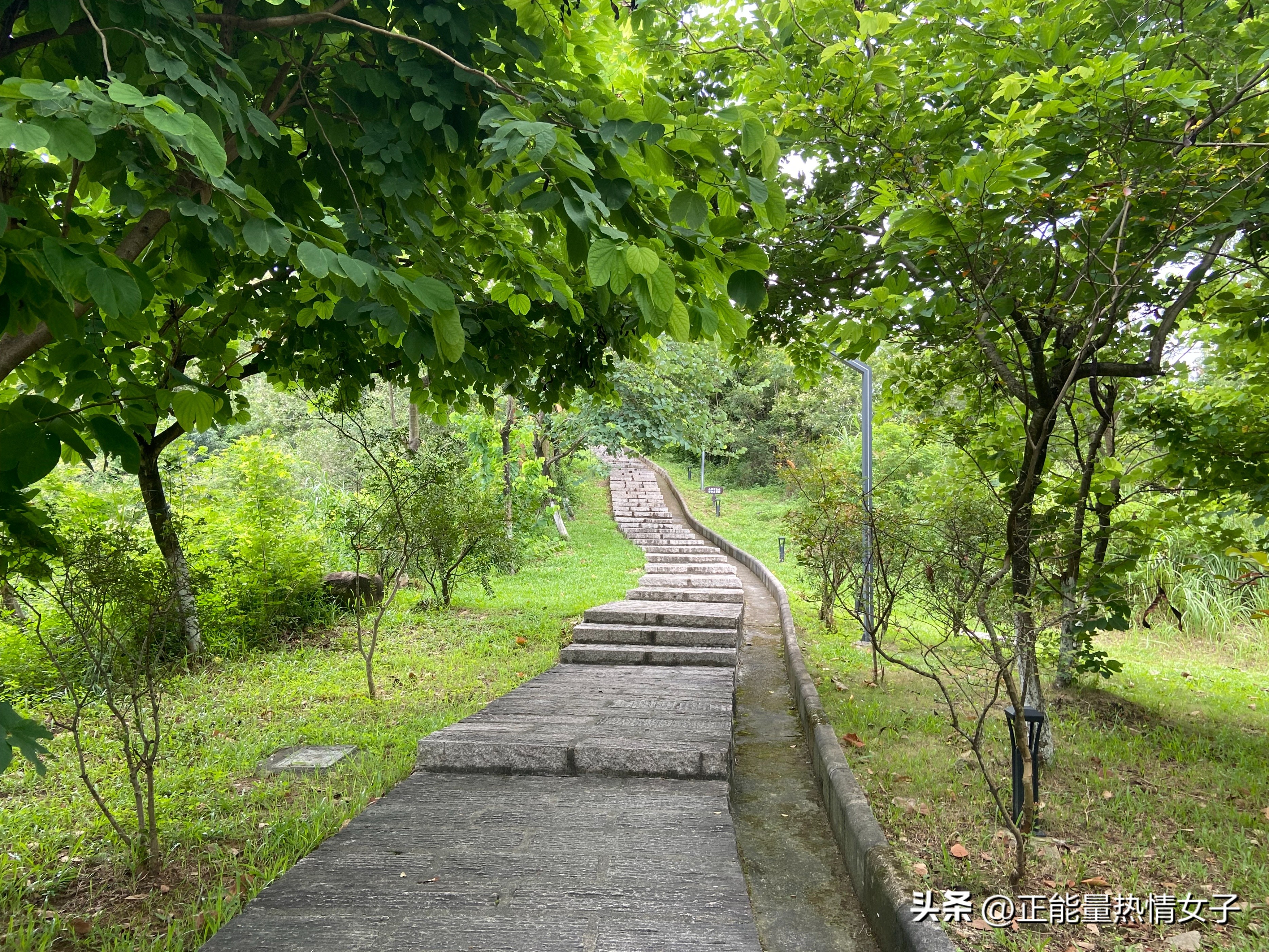 广州梅花岭森林公园,广州市白云区五峰山森林公园